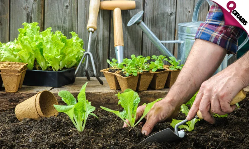 How to Grow Food in Small Gardens Online Course!